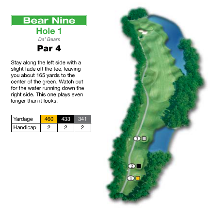 Tips on Playing the Bear Nine