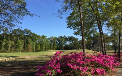 It is Going to be a Great Spring at River Oaks